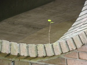 Nothing's Impossible