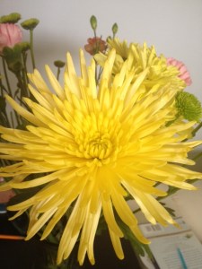 Maybe a few of these from Walmart for the "bouquet"?