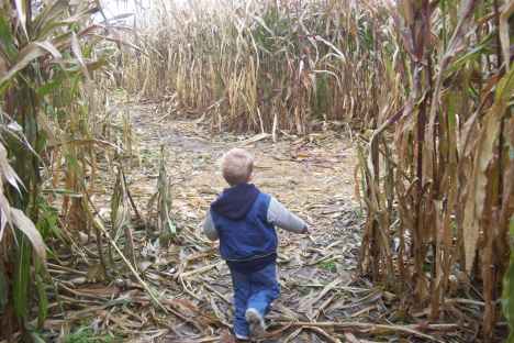 finding our own path