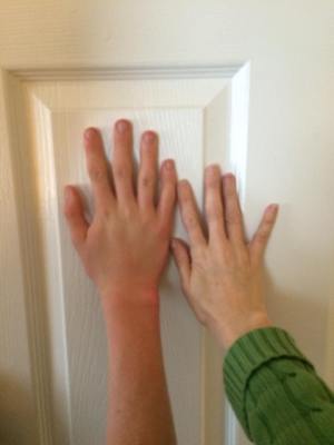 12933009_738098856325388_789378537205830466_n